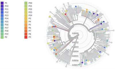 Characteristics of 24 SARS-CoV-2-Sequenced Reinfection Cases in a Tertiary Hospital in Spain